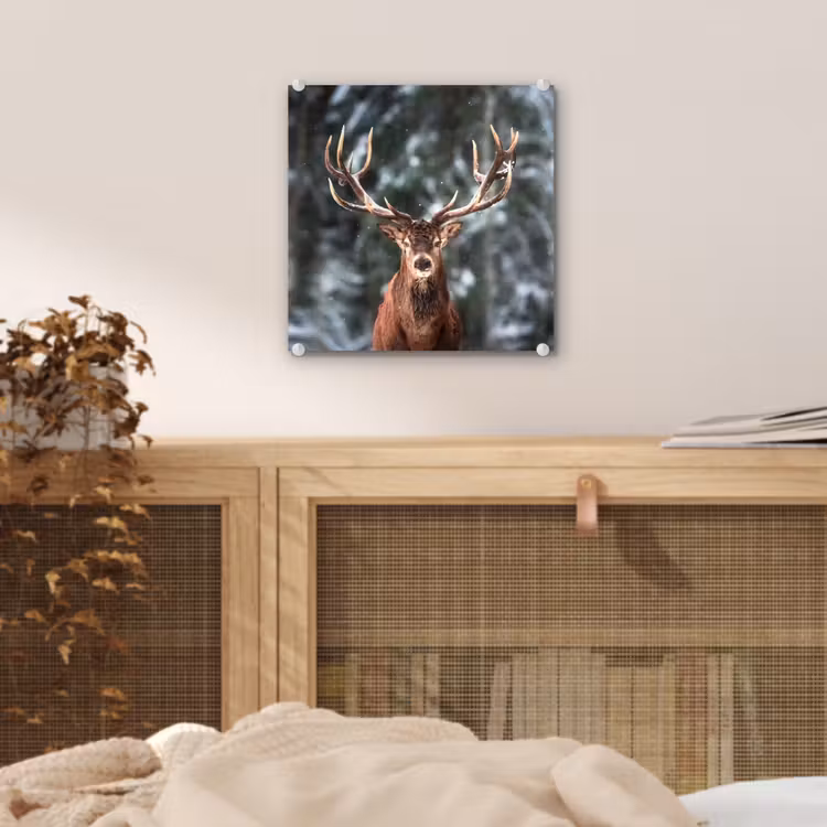 Hert - Winter - Sneeuw - Bos - Natuur - Dier plexiglas 5mm klein -sfeer4