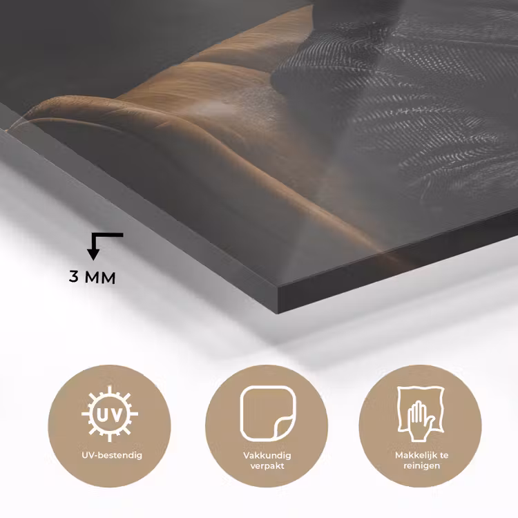 Hert - Zonnebril - Zwart - Pak plexiglas 5mm klein -sfeer2