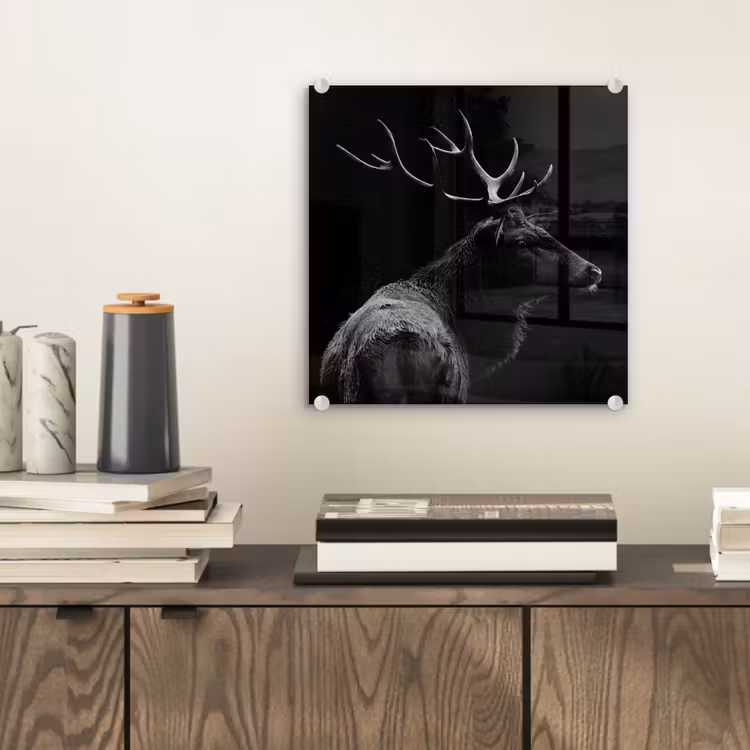 Hert - Zwart - Portret - Gewei - Dieren plexiglas 5mm klein -sfeer1