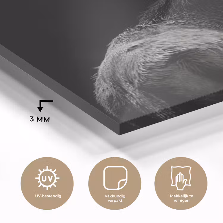 Hert - Zwart - Portret - Gewei - Dieren plexiglas 5mm klein -sfeer2