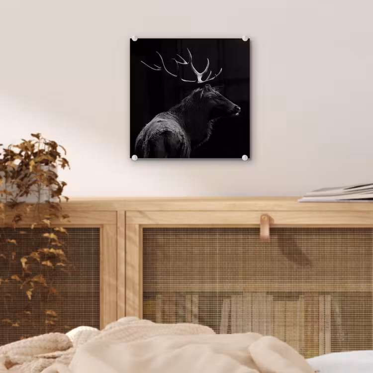 Hert - Zwart - Portret - Gewei - Dieren plexiglas 5mm klein -sfeer4
