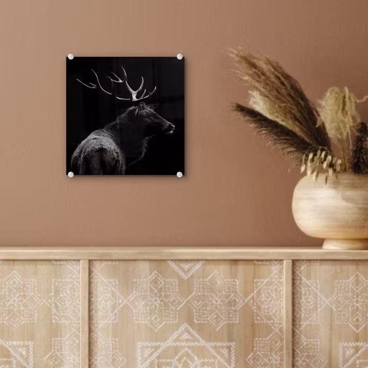 Hert - Zwart - Portret - Gewei - Dieren plexiglas 5mm klein -sfeer5