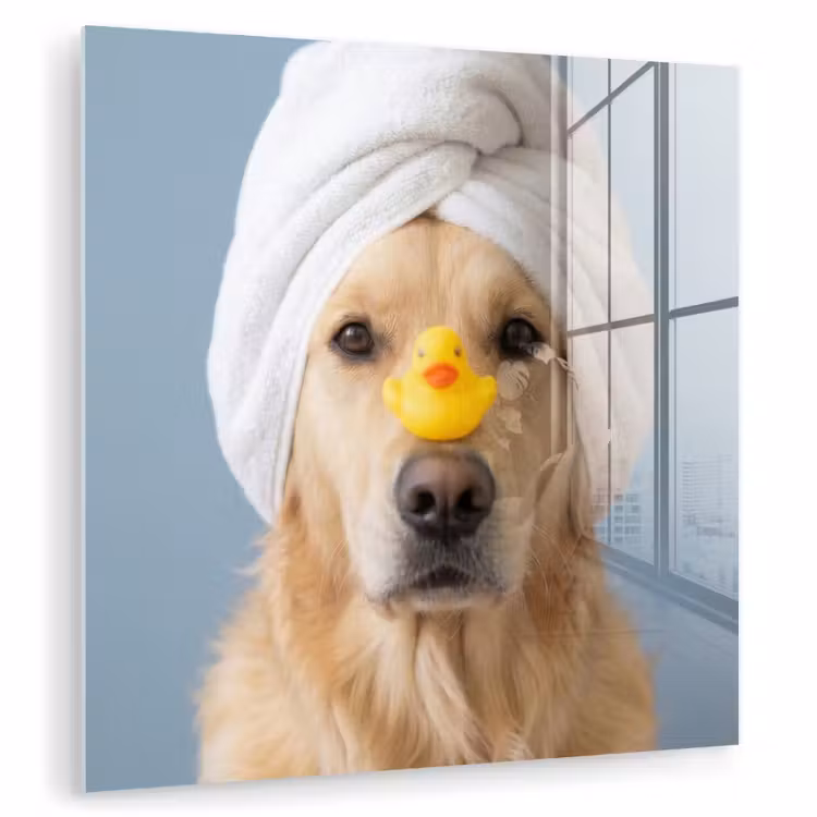 Hond - Badeend - Geel plexiglas 5mm klein -zzzproduct_nieuw