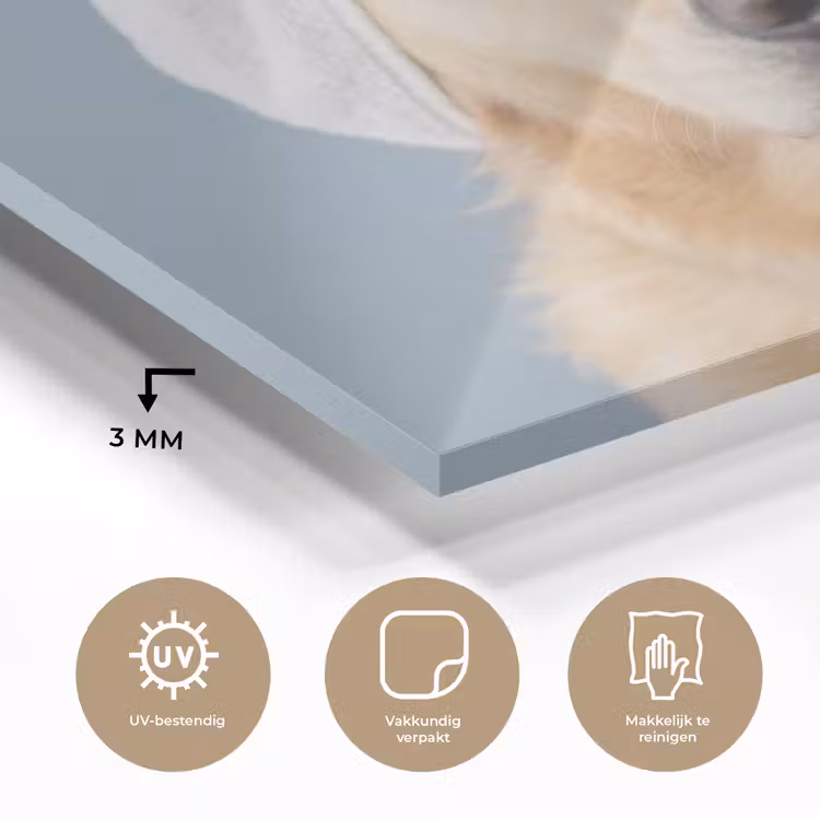 Hond - Badeend - Geel plexiglas 5mm klein -sfeer2
