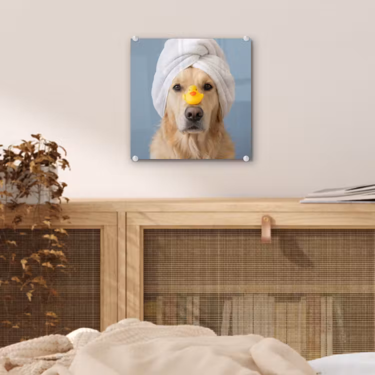 Hond - Badeend - Geel plexiglas 5mm klein -sfeer4