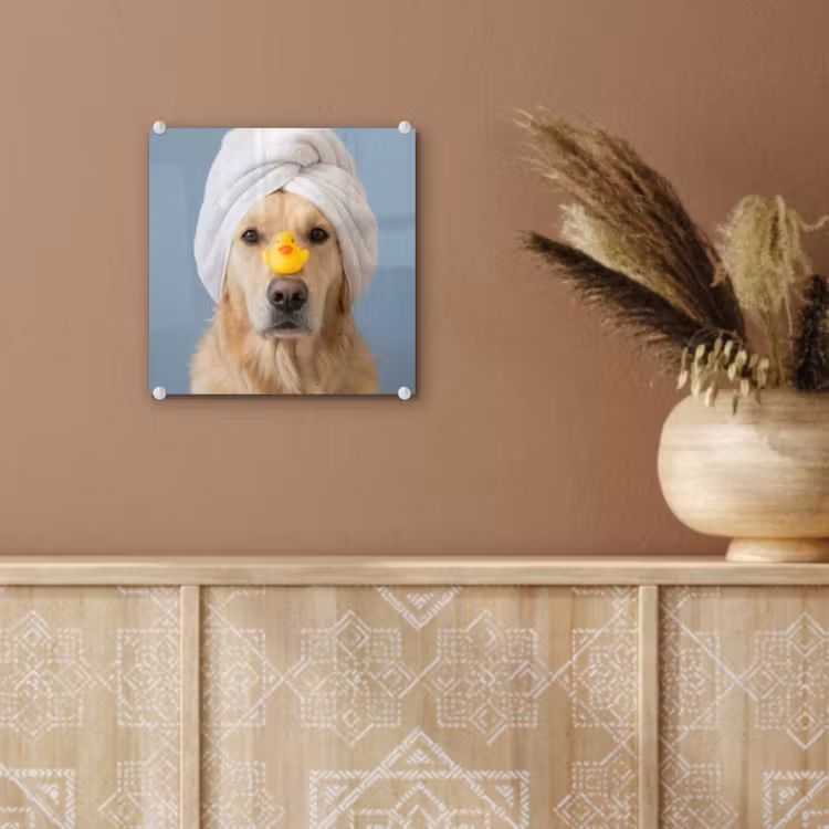 Hond - Badeend - Geel plexiglas 5mm klein -sfeer5