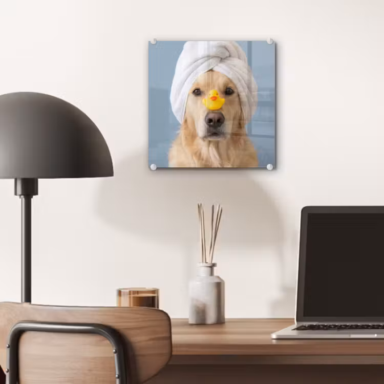 Hond - Badeend - Geel plexiglas 5mm klein -sfeer6