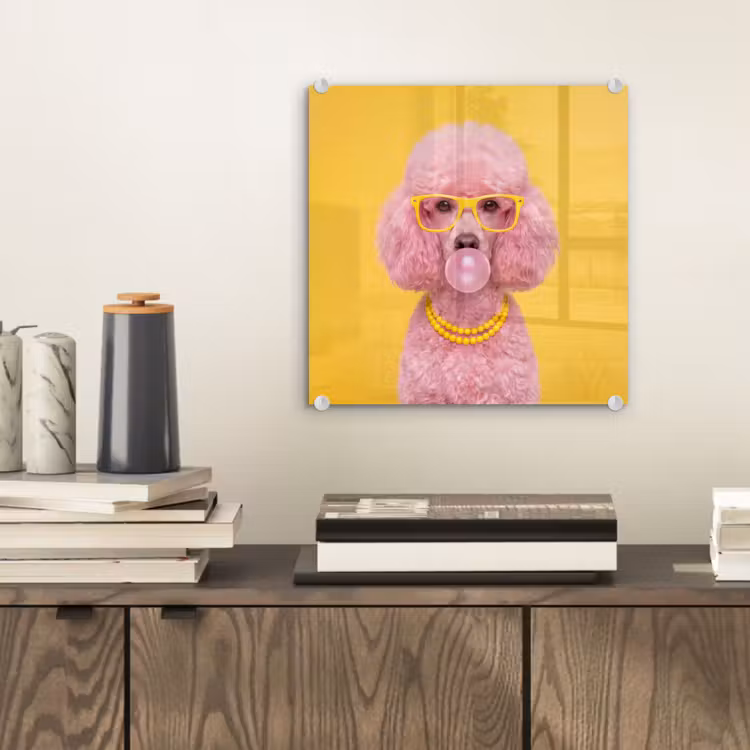 Hond - Kauwgum - Dieren - Modern - Roze plexiglas 5mm klein -sfeer1