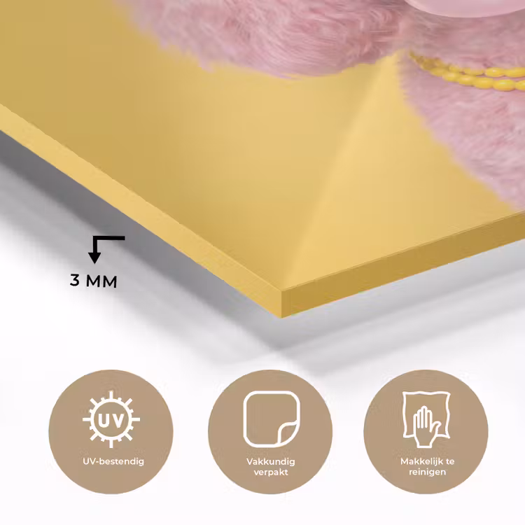 Hond - Kauwgum - Dieren - Modern - Roze plexiglas 5mm klein -sfeer2