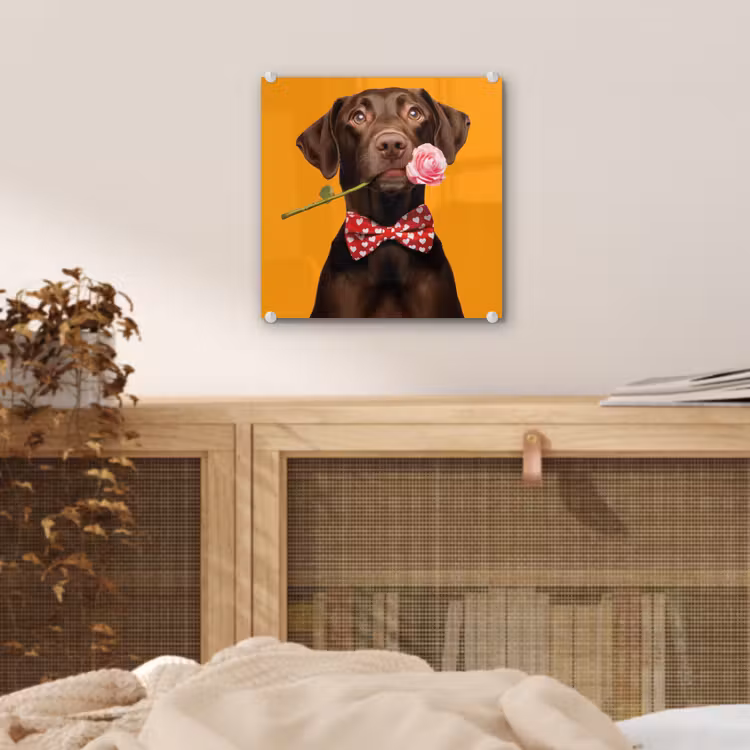 Hond - Oranje - Roos - Valentijn plexiglas 5mm klein -sfeer4