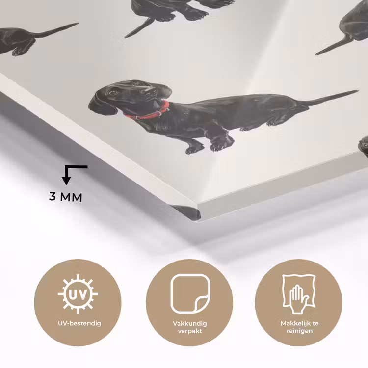 Hond - Patroon - Zwart plexiglas 5mm klein 11 -sfeer2