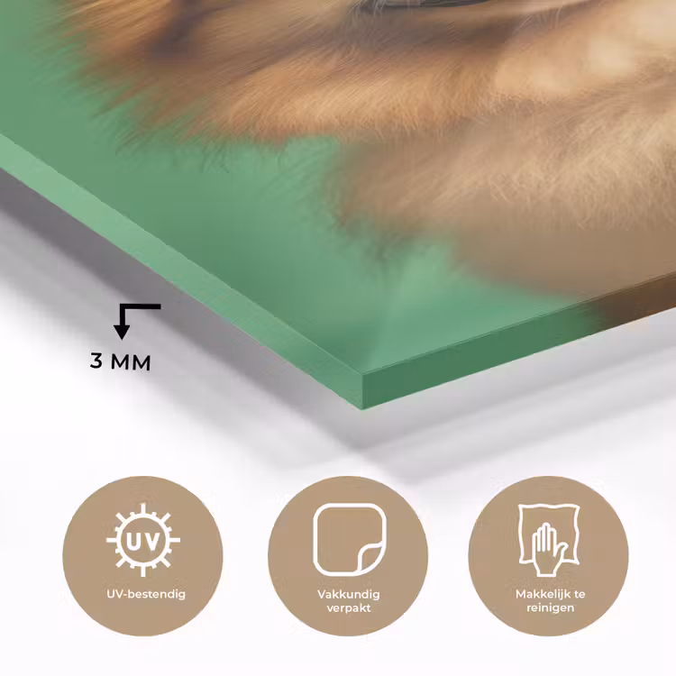 Hond - Zonnebril - Valentijn - Love plexiglas 5mm klein -sfeer2