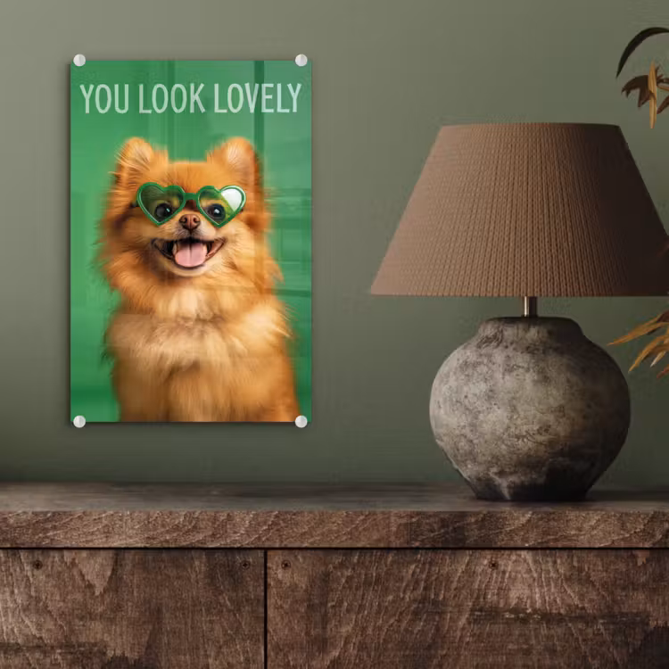 Hond - Zonnebril - Valentijn - Love plexiglas 5mm klein -sfeer3