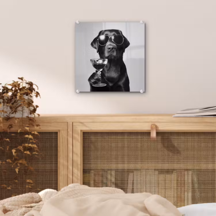 Hond - Zwart - Wijnglas - Zonnebril plexiglas 5mm klein -sfeer4
