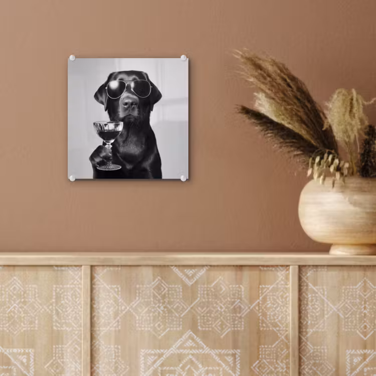 Hond - Zwart - Wijnglas - Zonnebril plexiglas 5mm klein -sfeer5