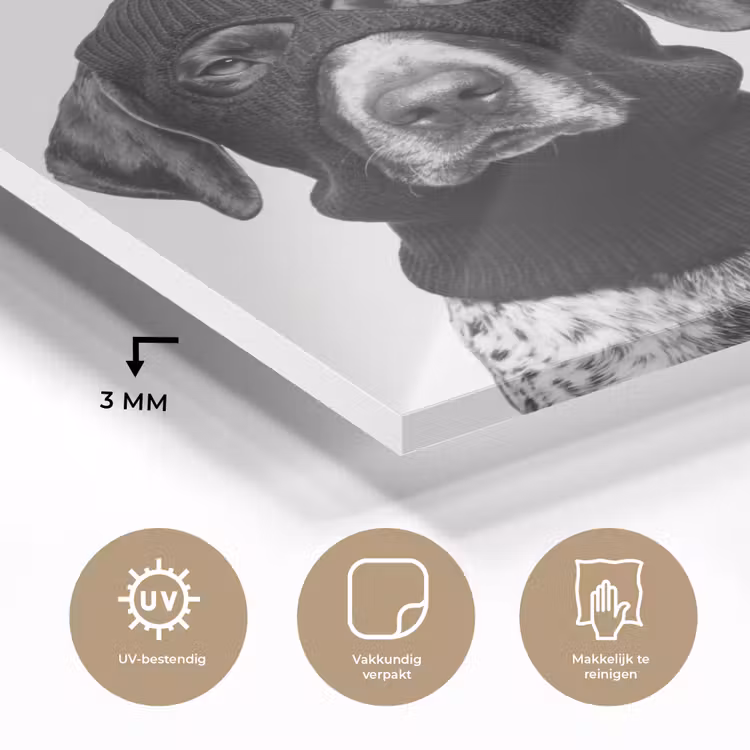 Honden - Bivakmuts - Zwart - wit plexiglas 5mm klein -sfeer2