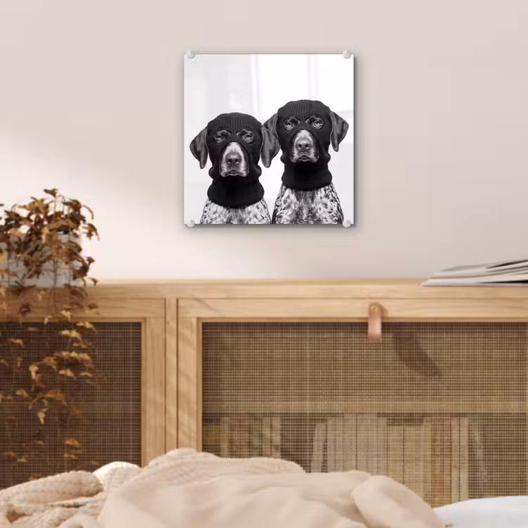 Honden - Bivakmuts - Zwart - wit plexiglas 5mm klein -sfeer4