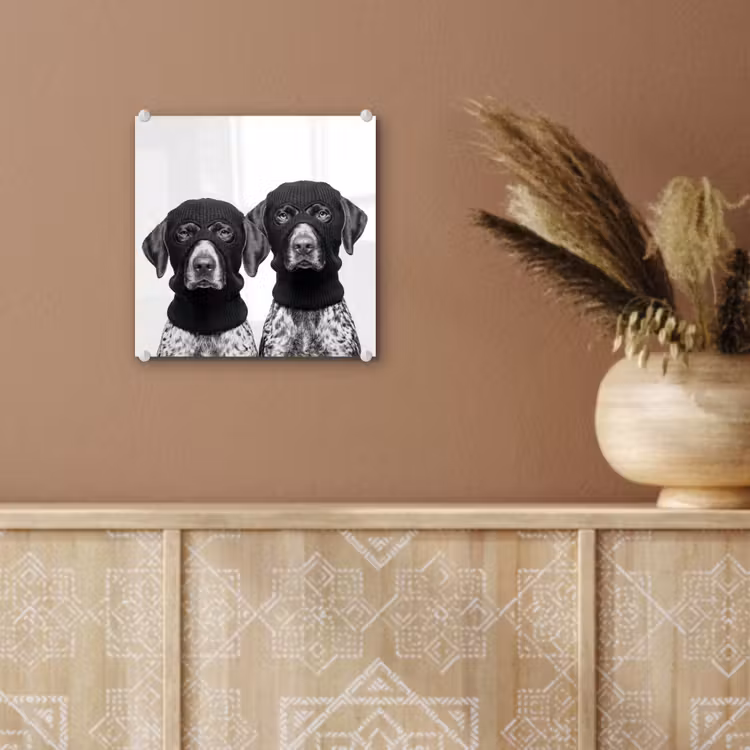 Honden - Bivakmuts - Zwart - wit plexiglas 5mm klein -sfeer5