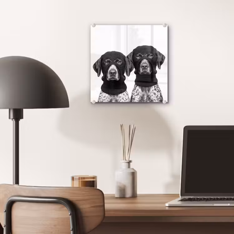 Honden - Bivakmuts - Zwart - wit plexiglas 5mm klein -sfeer6