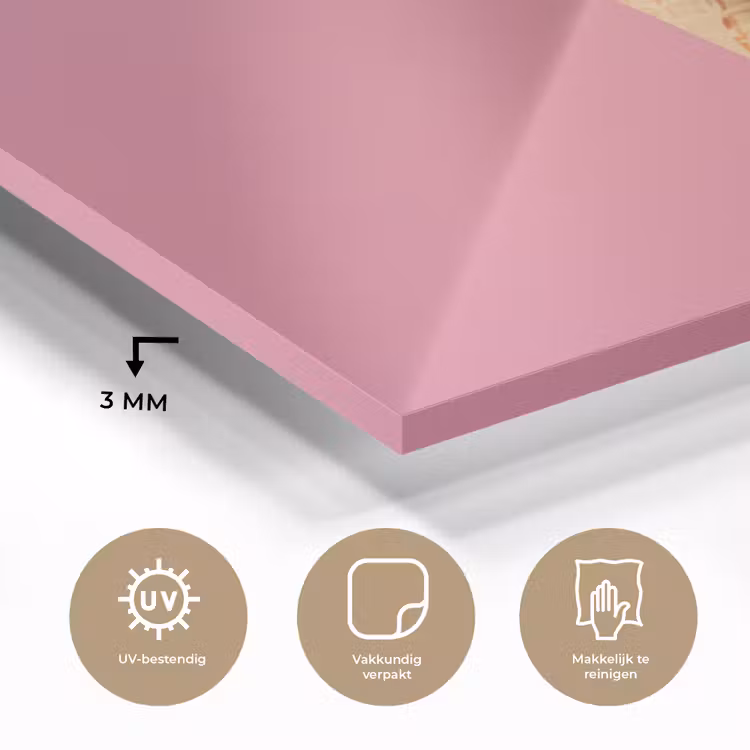 Hoorntje - Schepijs - Roze plexiglas 5mm klein -sfeer2