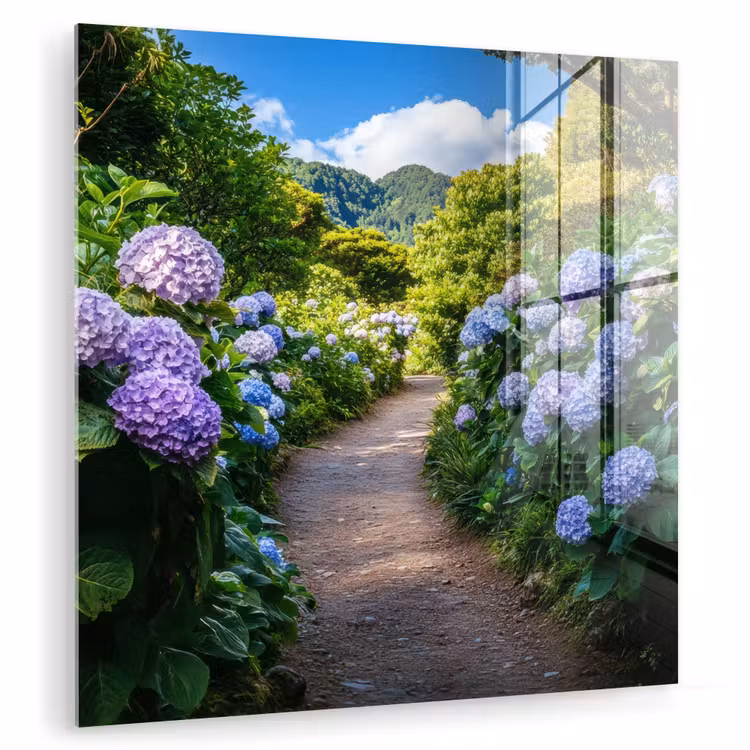 Hortsensia - Pad - Bloemen plexiglas 5mm klein -zzzproduct_nieuw
