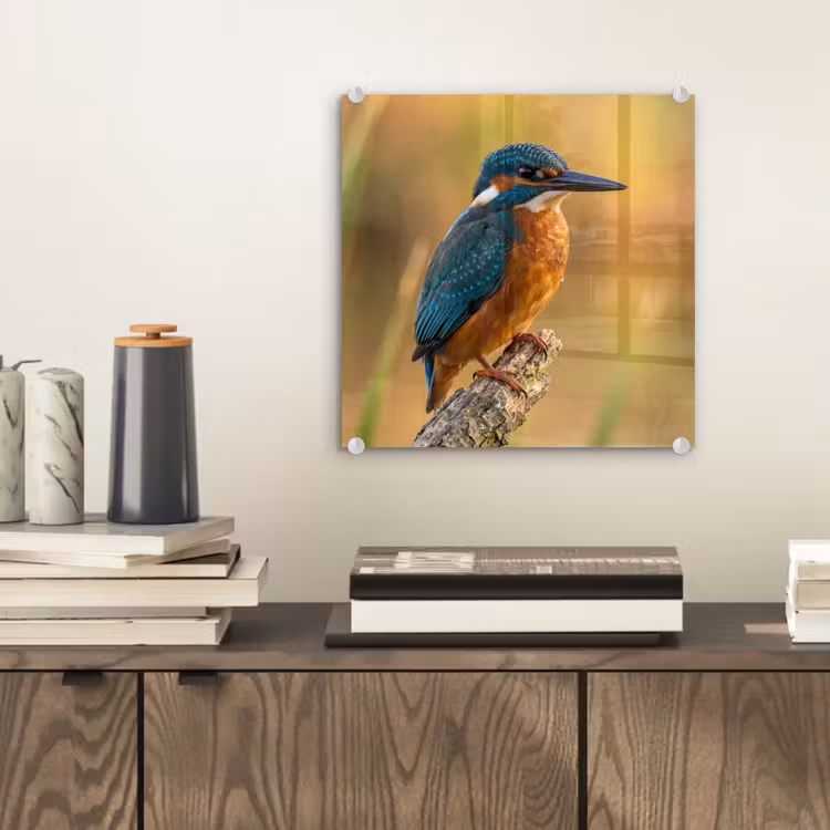 IJsvogel - Tak - Water - Kleurrijk - Levendig plexiglas 5mm klein -sfeer1