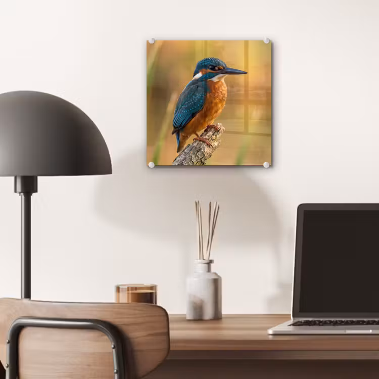 IJsvogel - Tak - Water - Kleurrijk - Levendig plexiglas 5mm klein -sfeer6