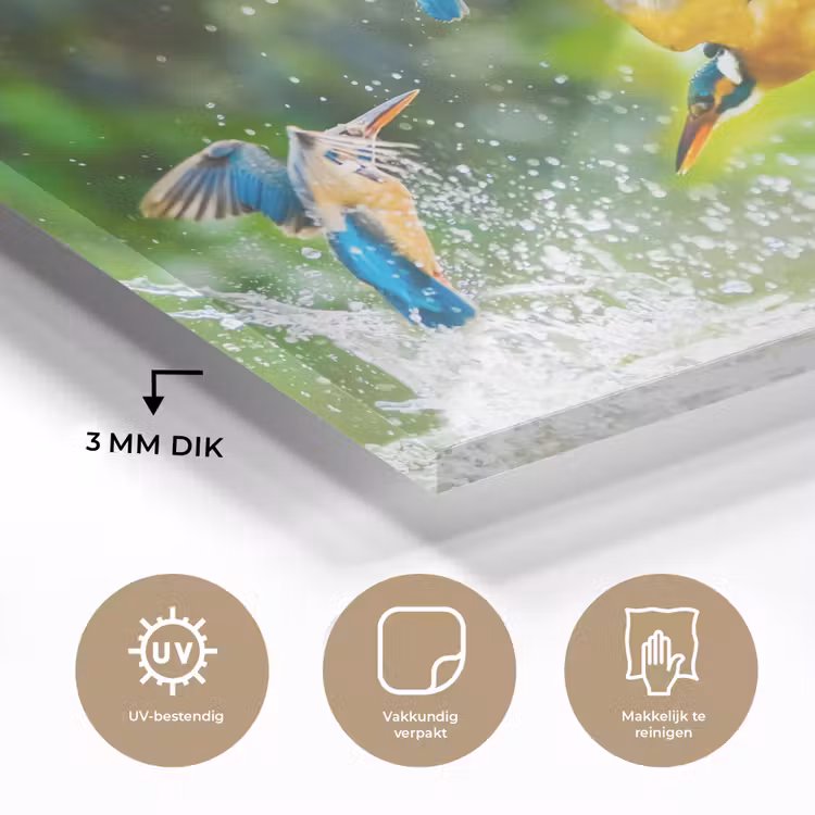IJsvogels vliegen in het water plexiglas 5mm klein -sfeer2