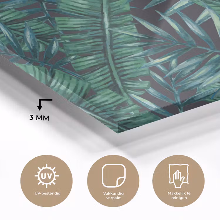 Jungle - Bladeren - Tropical plexiglas 5mm klein -sfeer2
