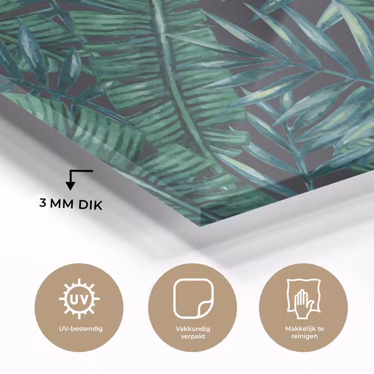 Jungle - Bladeren - Tropisch plexiglas 5mm klein -sfeer2