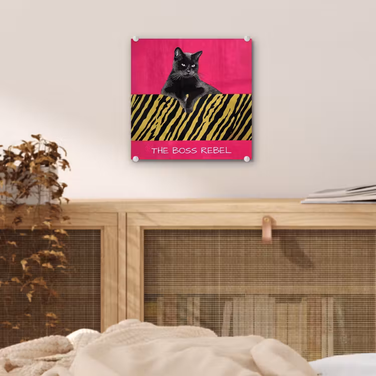 Kat - Baas - Roze - Tijgerprint plexiglas 5mm klein -sfeer4