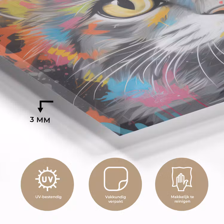 Kat - Graffiti - Dieren - Kleuren - Grijs plexiglas 5mm klein -sfeer2