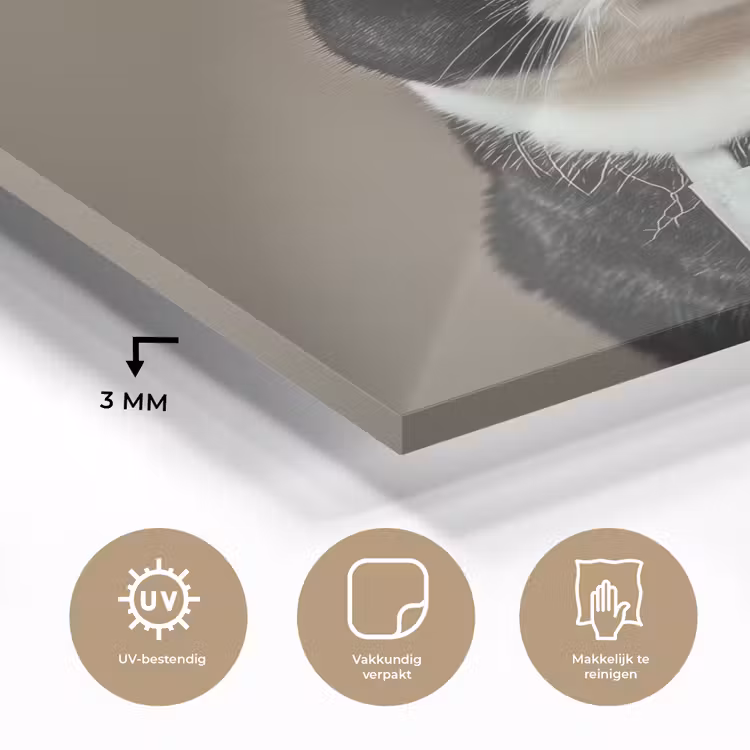 Kat - Kokskleding - Zwart - Wit plexiglas 5mm klein -sfeer2