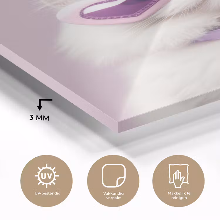 Kat - Love - Paars - Valentijn plexiglas 5mm klein -sfeer2