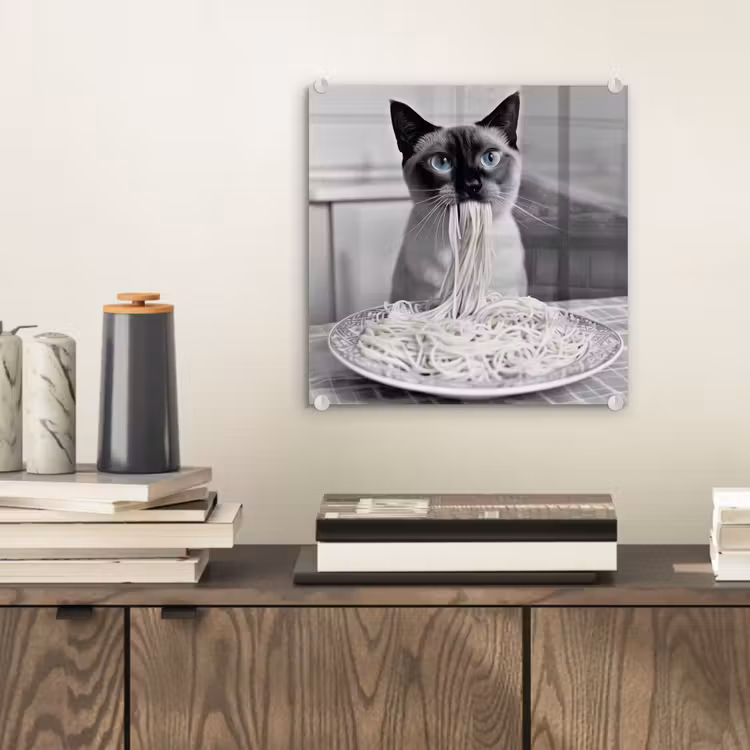 Kat - Siamees - Zwart Wit - Schattig - Dieren plexiglas 5mm klein -sfeer1