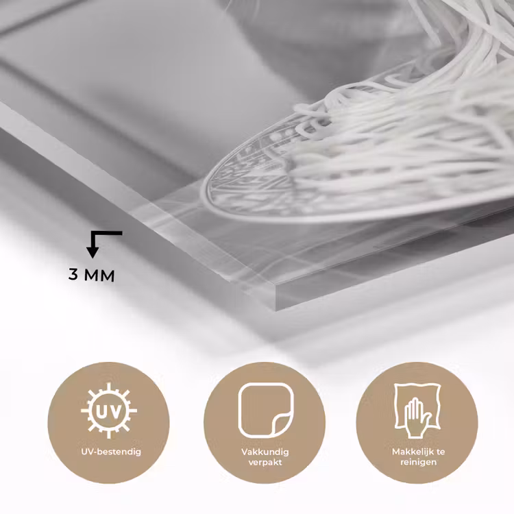 Kat - Siamees - Zwart Wit - Schattig - Dieren plexiglas 5mm klein -sfeer2