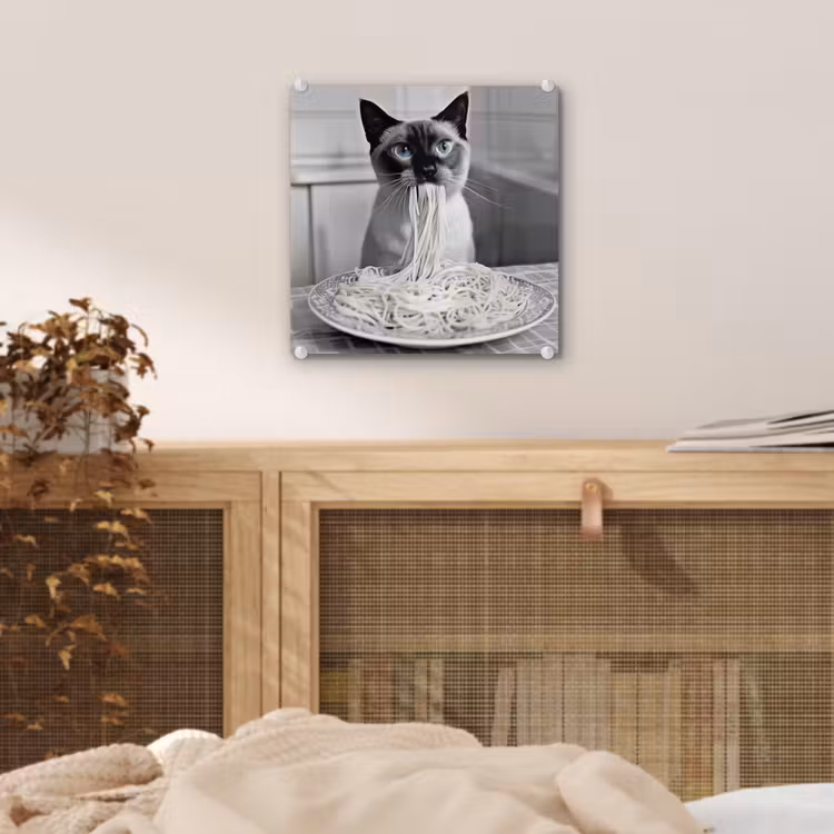 Kat - Siamees - Zwart Wit - Schattig - Dieren plexiglas 5mm klein -sfeer4