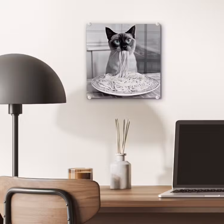 Kat - Siamees - Zwart Wit - Schattig - Dieren plexiglas 5mm klein -sfeer6