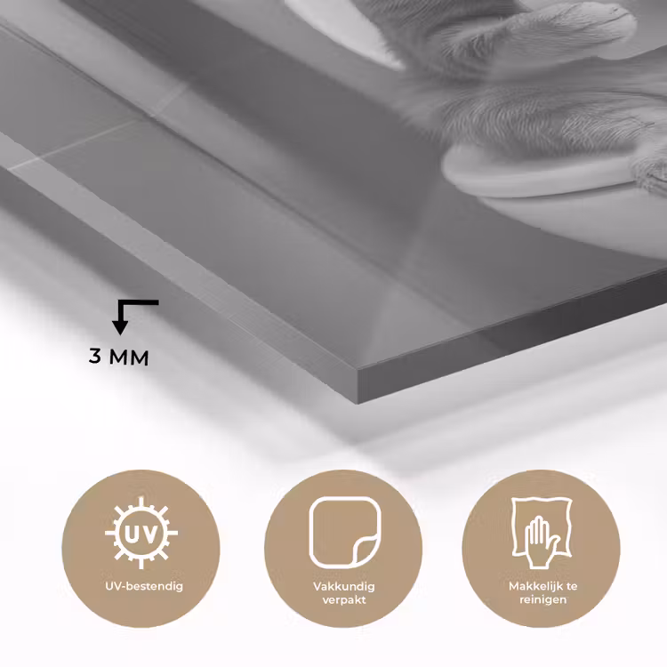 Kat - Telefoon - Toilet - Zwart - Wit plexiglas 5mm klein -sfeer2