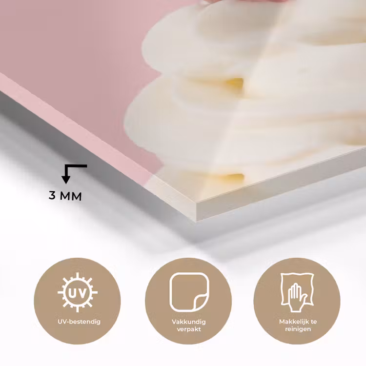 Kers - Slagroom - Roze plexiglas 5mm klein -sfeer2