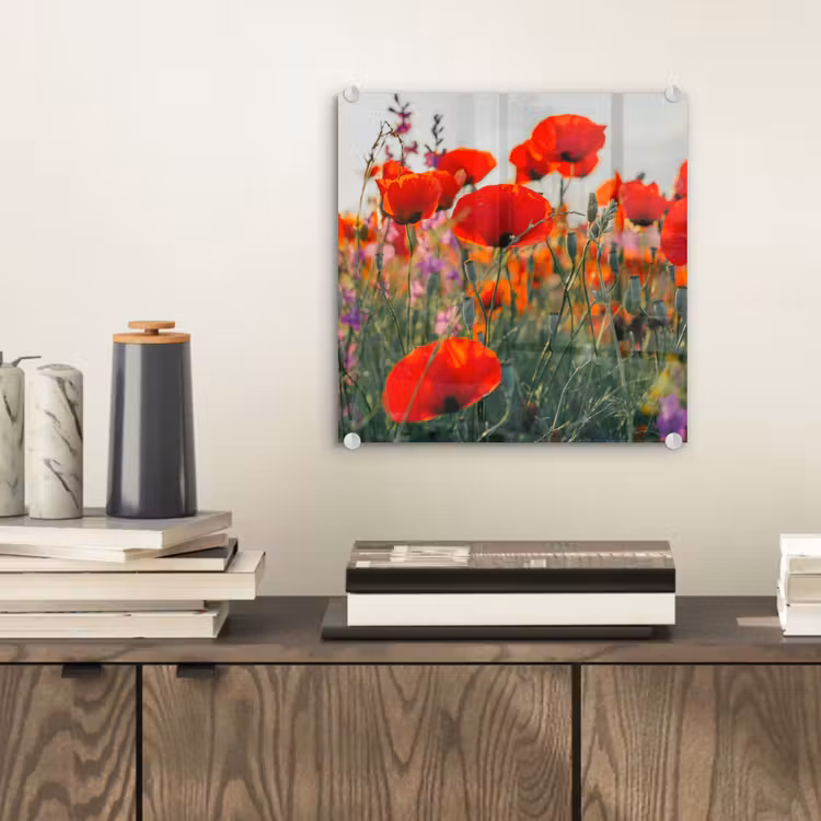 Klaproos - Bloemen - Rood - Paars - Weide plexiglas 5mm klein -sfeer1
