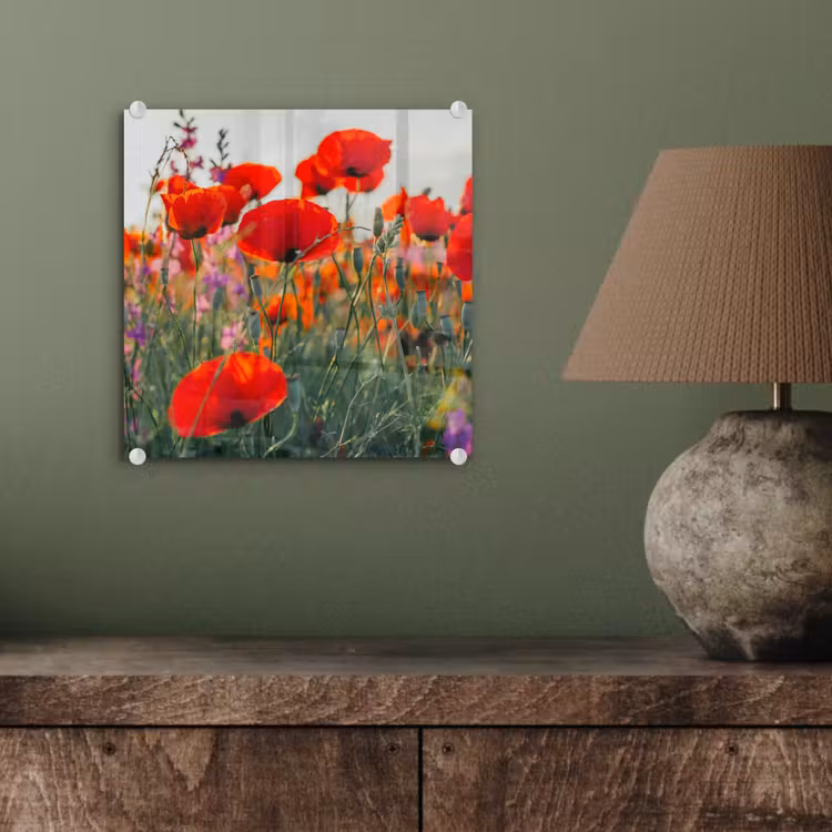Klaproos - Bloemen - Rood - Paars - Weide plexiglas 5mm klein -sfeer3