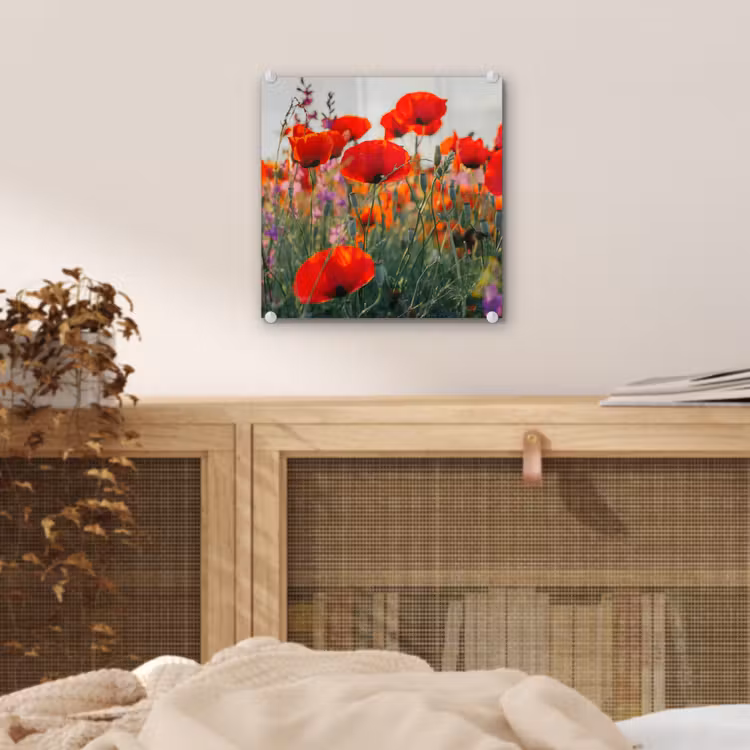 Klaproos - Bloemen - Rood - Paars - Weide plexiglas 5mm klein -sfeer4