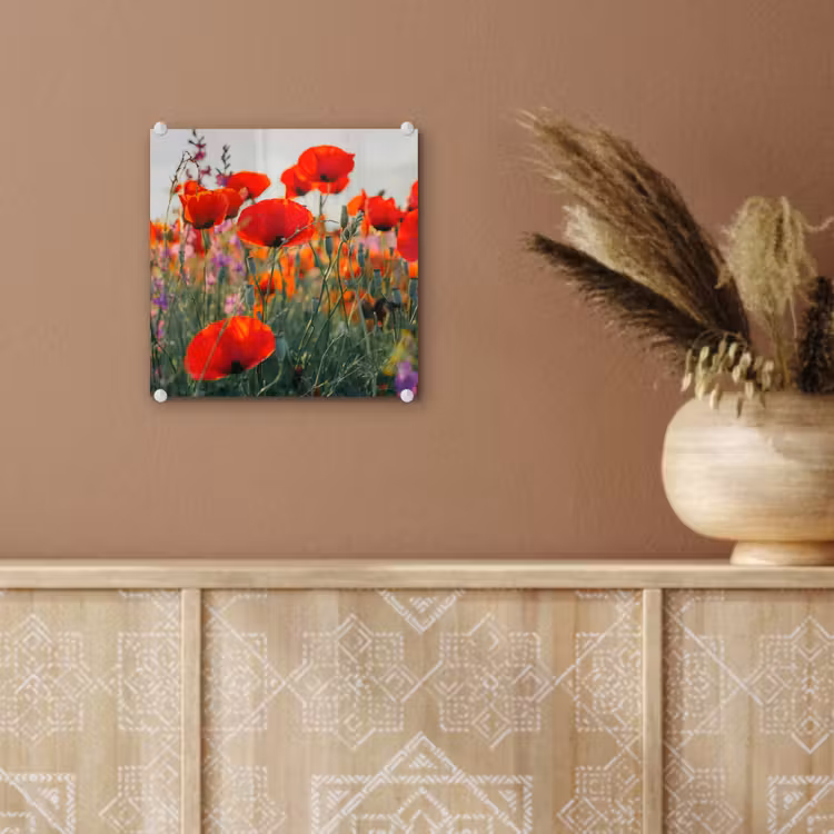 Klaproos - Bloemen - Rood - Paars - Weide plexiglas 5mm klein -sfeer5