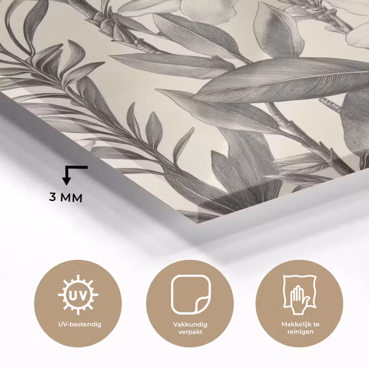 Klassiek - Botanisch - Zwart - Beige plexiglas 5mm klein 11 -sfeer2