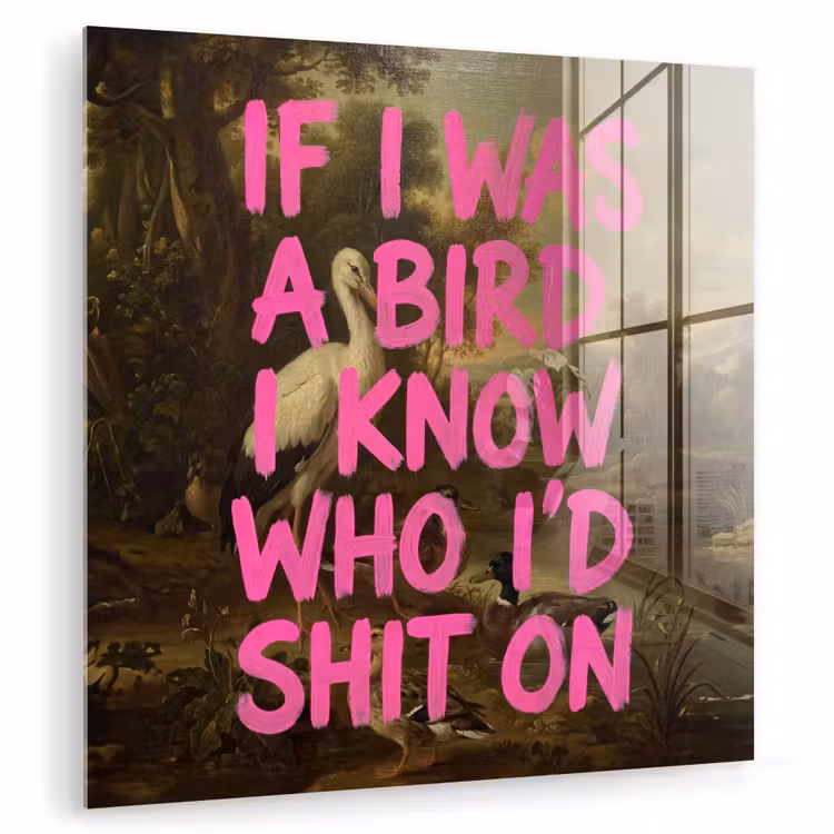 Klassiek - Humor - Roze plexiglas 5mm klein -zzzproduct_nieuw