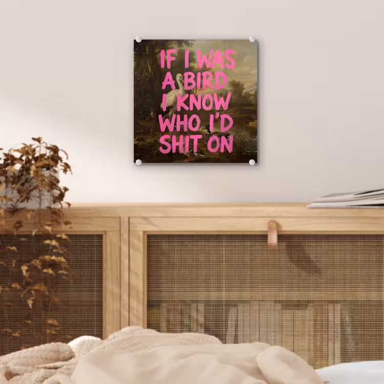 Klassiek - Humor - Roze plexiglas 5mm klein -sfeer4