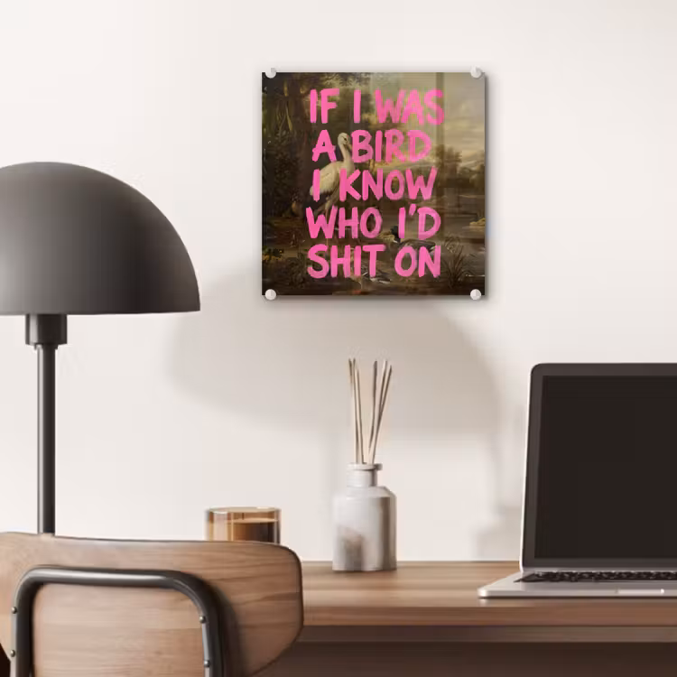 Klassiek - Humor - Roze plexiglas 5mm klein -sfeer6