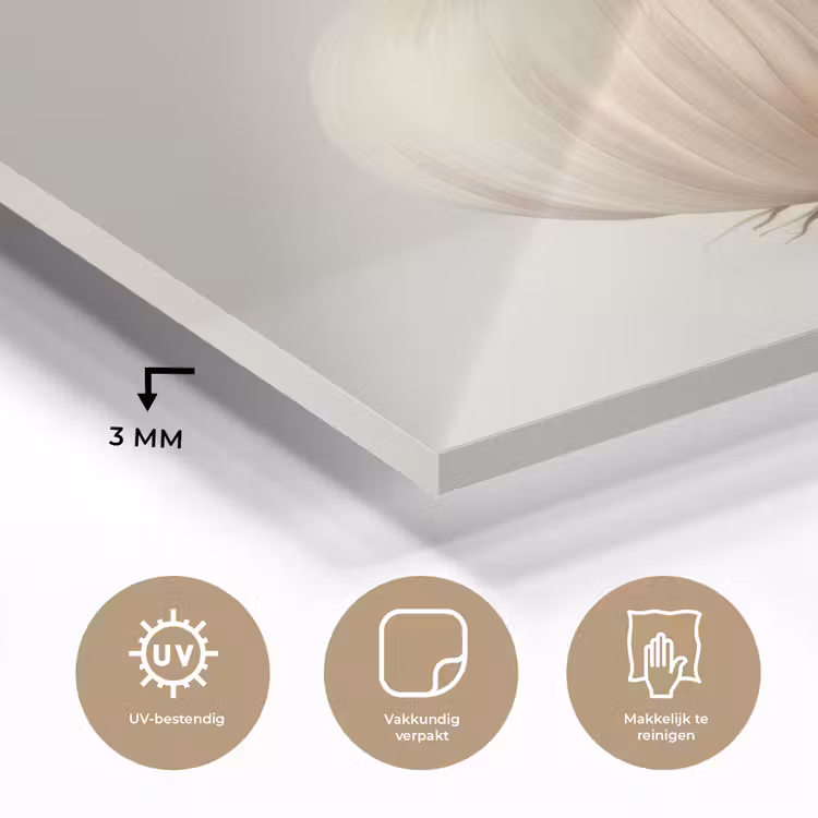 Knoflook - Natuurlijk - Beige plexiglas 5mm klein -sfeer2