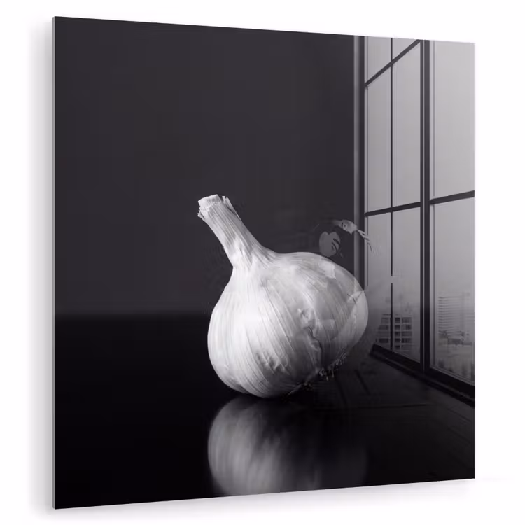 Knoflook - Zwart - Wit plexiglas 5mm klein -zzzproduct_nieuw